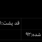 کت دلبر
