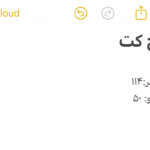 ترنچ کت نارون