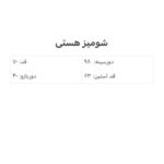 شومیز هستی